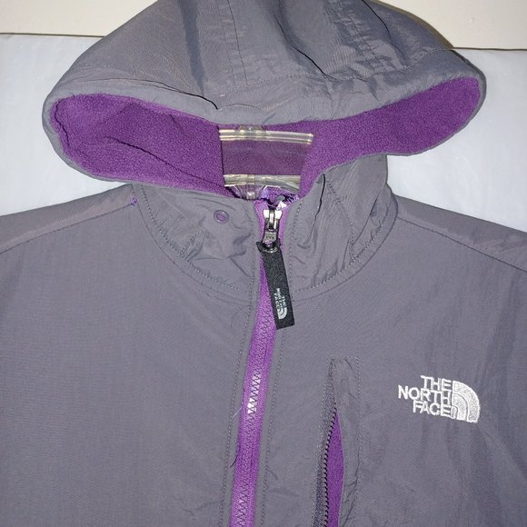 The North Face Jackets & Blazers - THE NORTH FACE DENALI FLEECE HOODIE JACKET